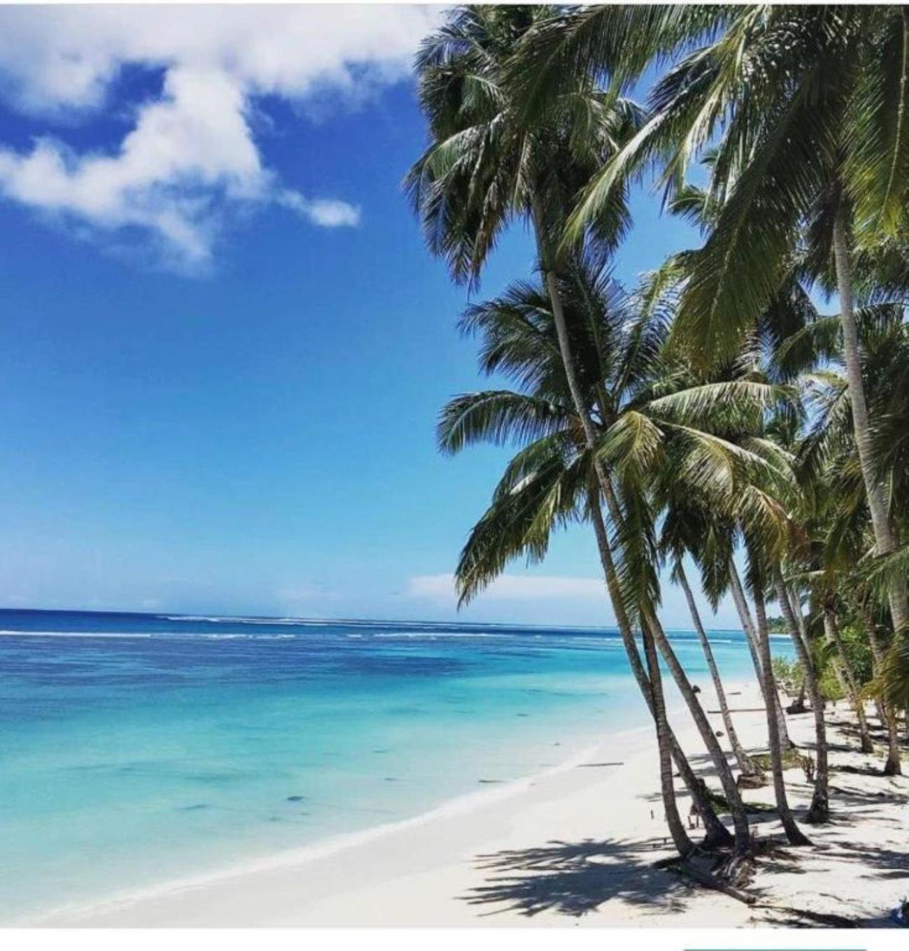 Nasara Resort Mentawai Tua Pejat Exteriör bild